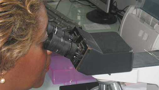 Services des urgences