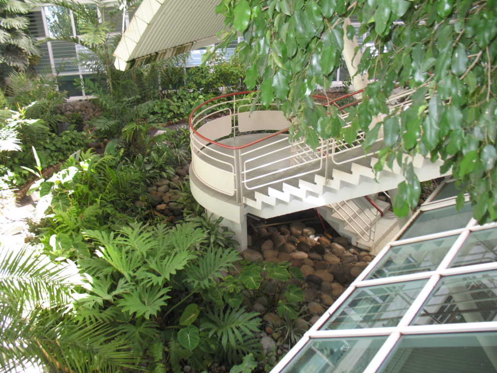 Vue sur le patio hall d'entrée chbt